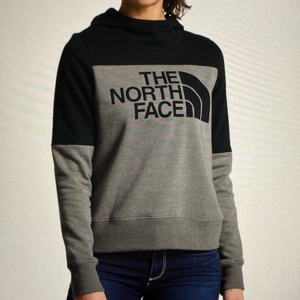 north face Drew peak pull over hoodie $70